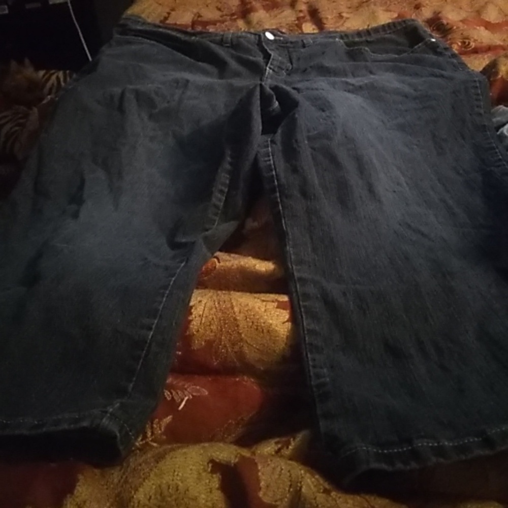 Torrid capris